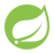 Spring Boot Enterprise Application Framework Logo
